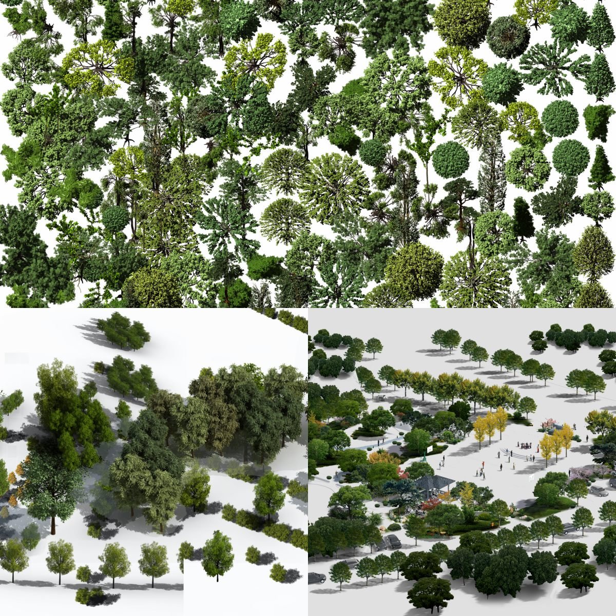 Aerial Plant PSD Pack | 33GB