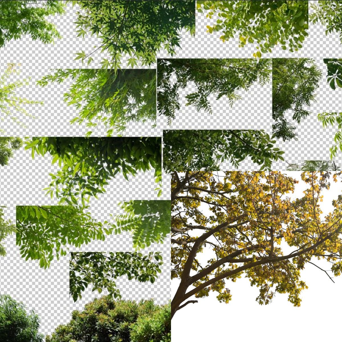 Hand-Drawn Architecture PSD 45GB
