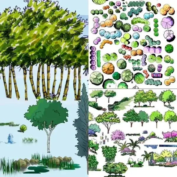 Hand-Drawn Plant PSD 45GB